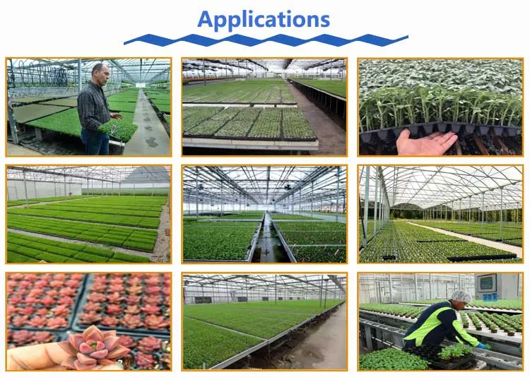 seed trays application