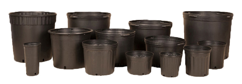 1-25 gallon pots