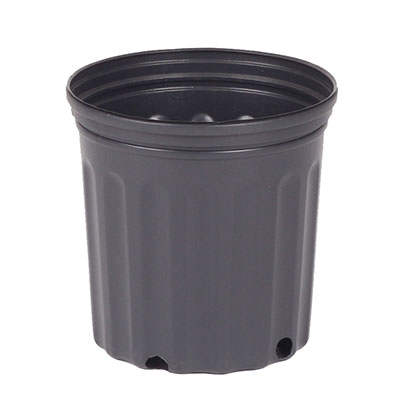 Plastic 1.5 gallon pots