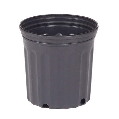 1.5 gallon plastic pots