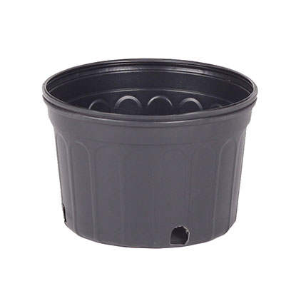 Plastic short 2 gallon pots