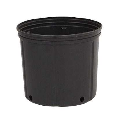 2 gallon flower pot