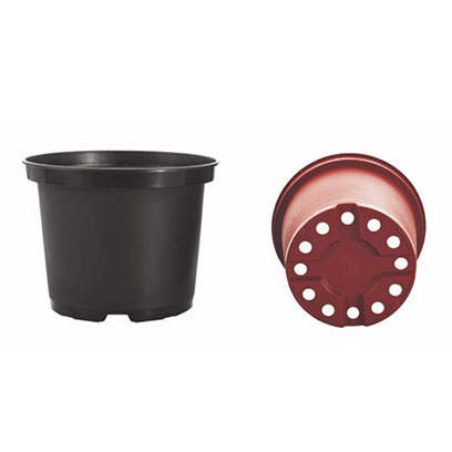 2 gallon plastic plant pots