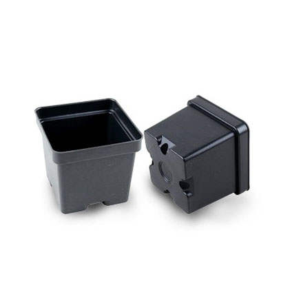 Plastic 4.5 inch square pots