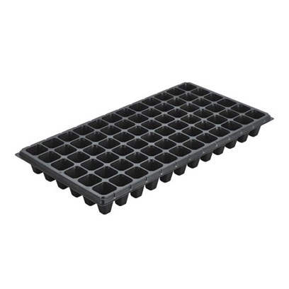 XT 72 cells seedling trays