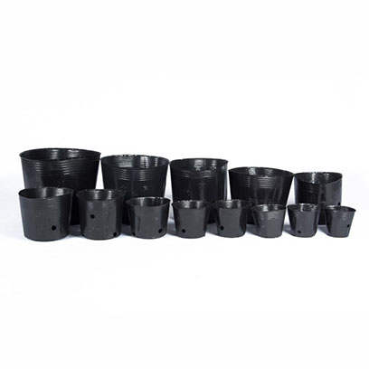 disposable plastic plant pots