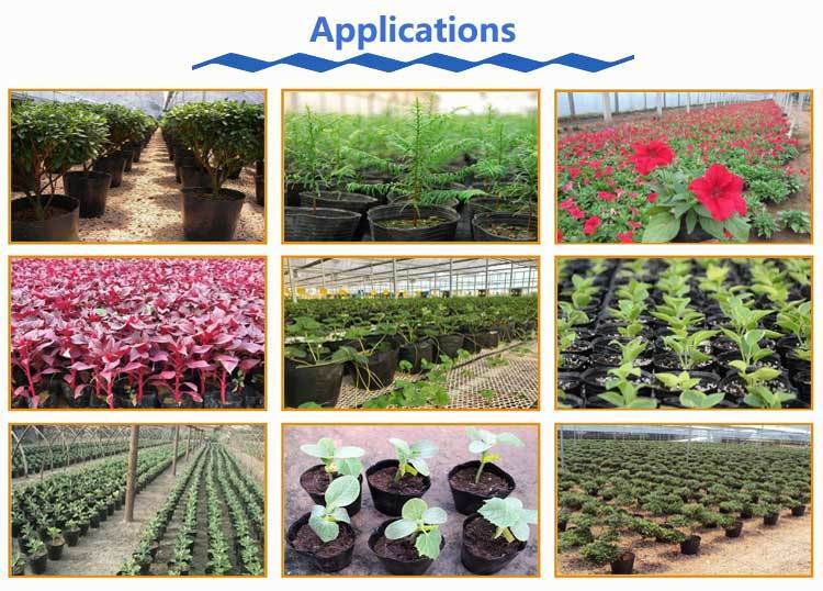 applications applications