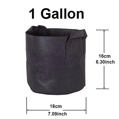 1 gallon smart pots