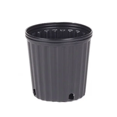 Plastic 1 gallon pot